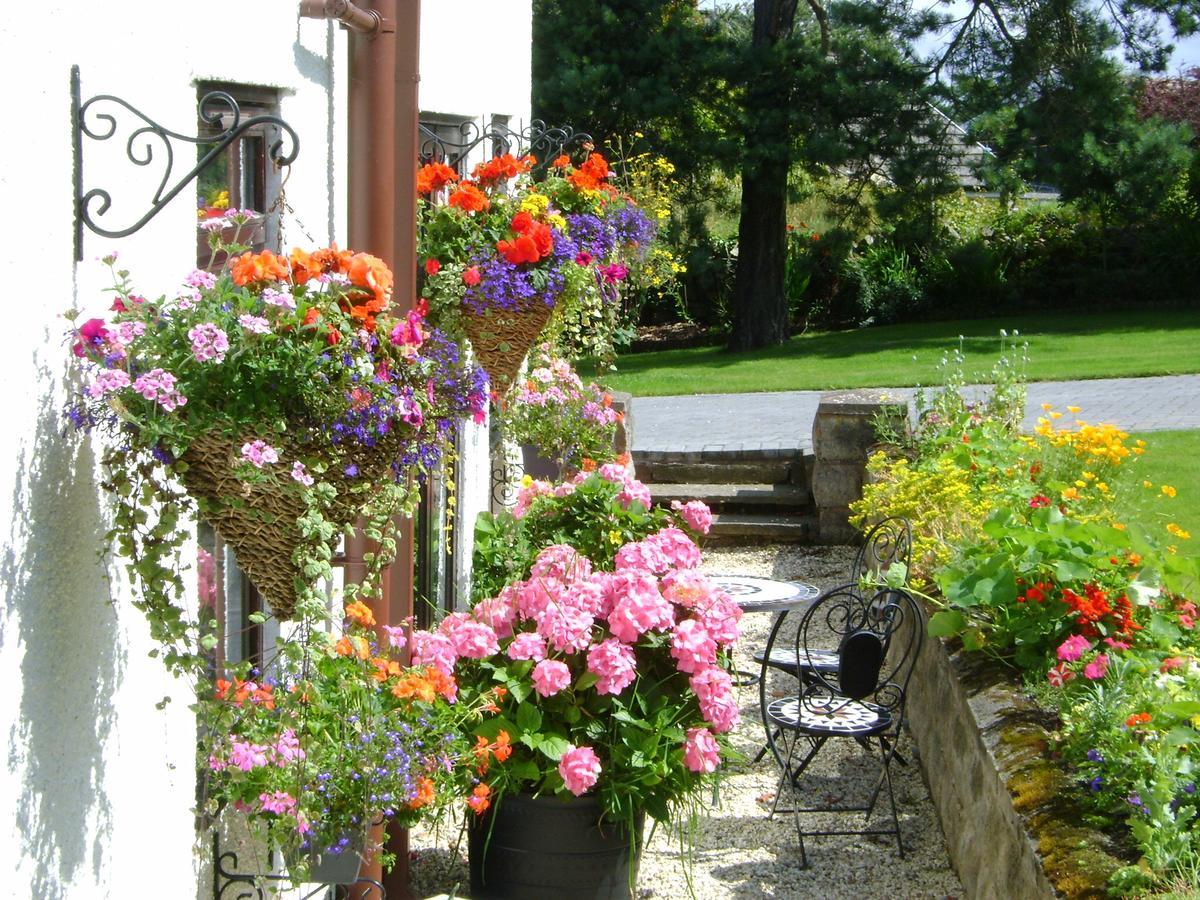 Celyn Villa Bed And Breakfast Holywell  Exterior foto